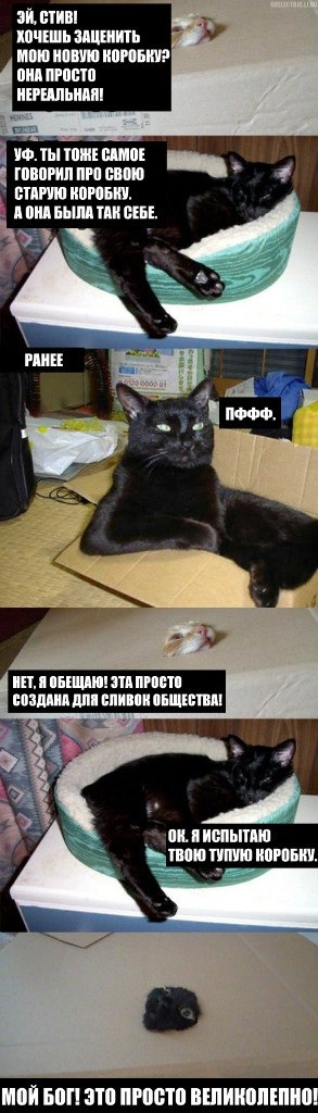 Вячеслав Сорокин | 