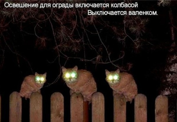 №16, Юра Лисечко, 33 года №16, Юра Лисечко, 33 года