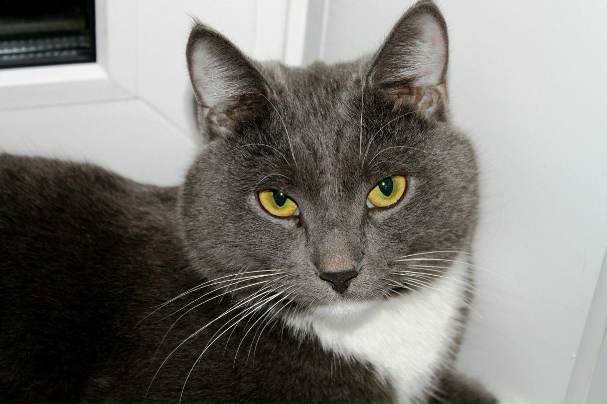 Людмила Меньшикова | Снежинск