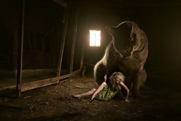 Юлия Духанова | Калининград