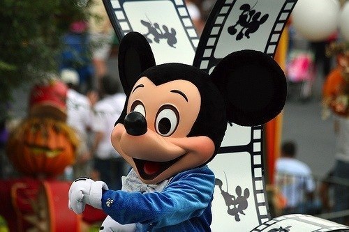 №121, Всеволод Правдин, Вологда №121, Всеволод Правдин, Вологда