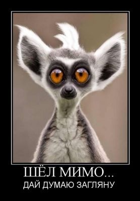 №26, Дмитрий Кудашкин, Саранск №26, Дмитрий Кудашкин, Саранск