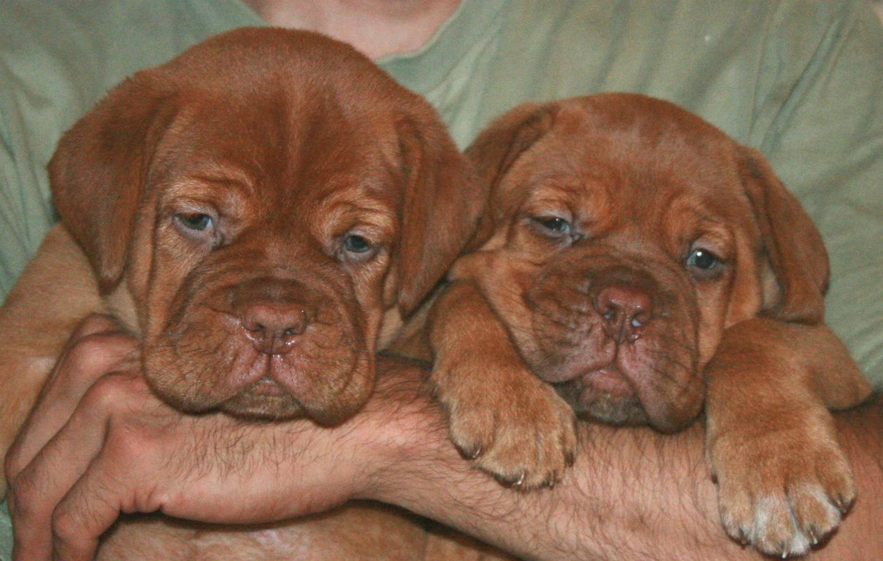 Екатерина Иванова | Санкт-Петербург