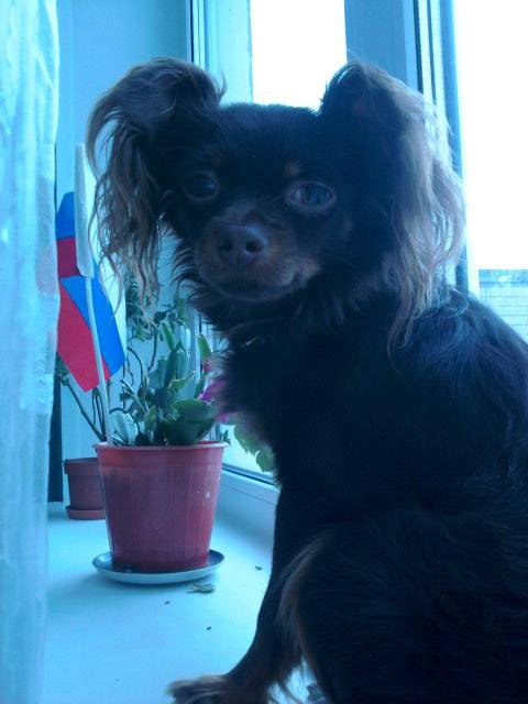 Наталья Клют | Тихвин