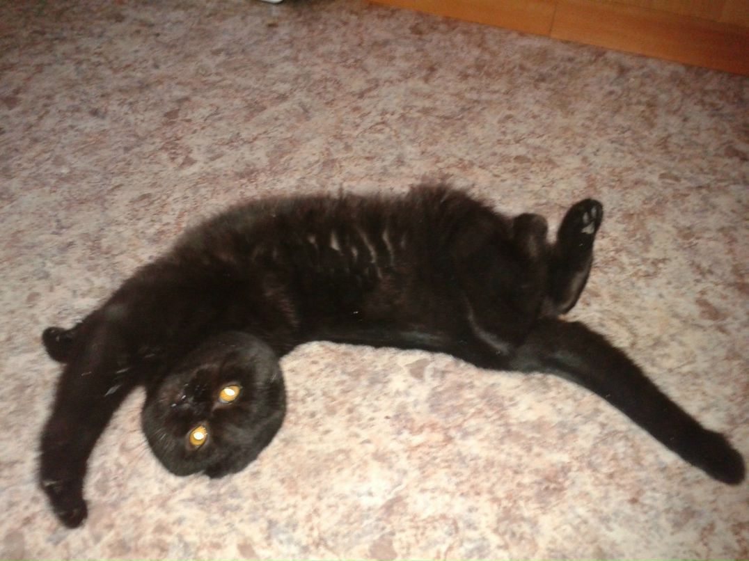 Женя Пахорский | Москва