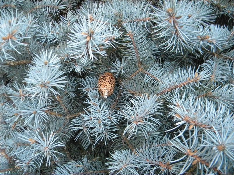 №5, Николай Жеребцов, 54 года, Белгород-Днестровский №5, Николай Жеребцов, 54 года, Белгород-Днестровский