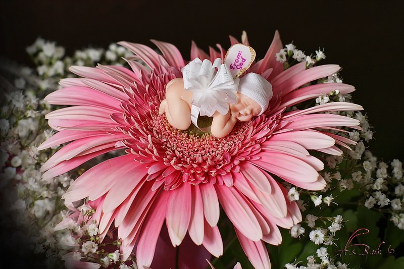 Натали Смужинская | Москва