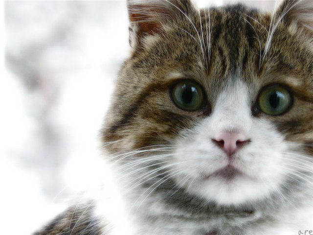 Вадим Дудник | Хмельницкий