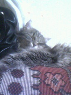 Татьяна Городилова | Красноуфимск