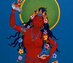 Pema Namgyal | Kathmandu