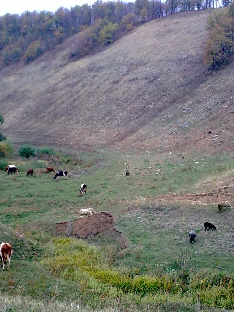 Татьяна Терехова | Альметьевск