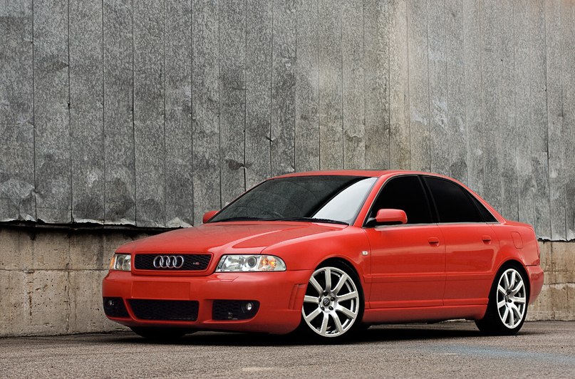 Максим Богдашкин | Вологда