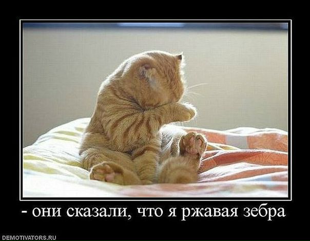 №100, Светлана Онищенко-Криштоп, 41 год, Мелитополь №100, Светлана Онищенко-Криштоп, 41 год, Мелитополь