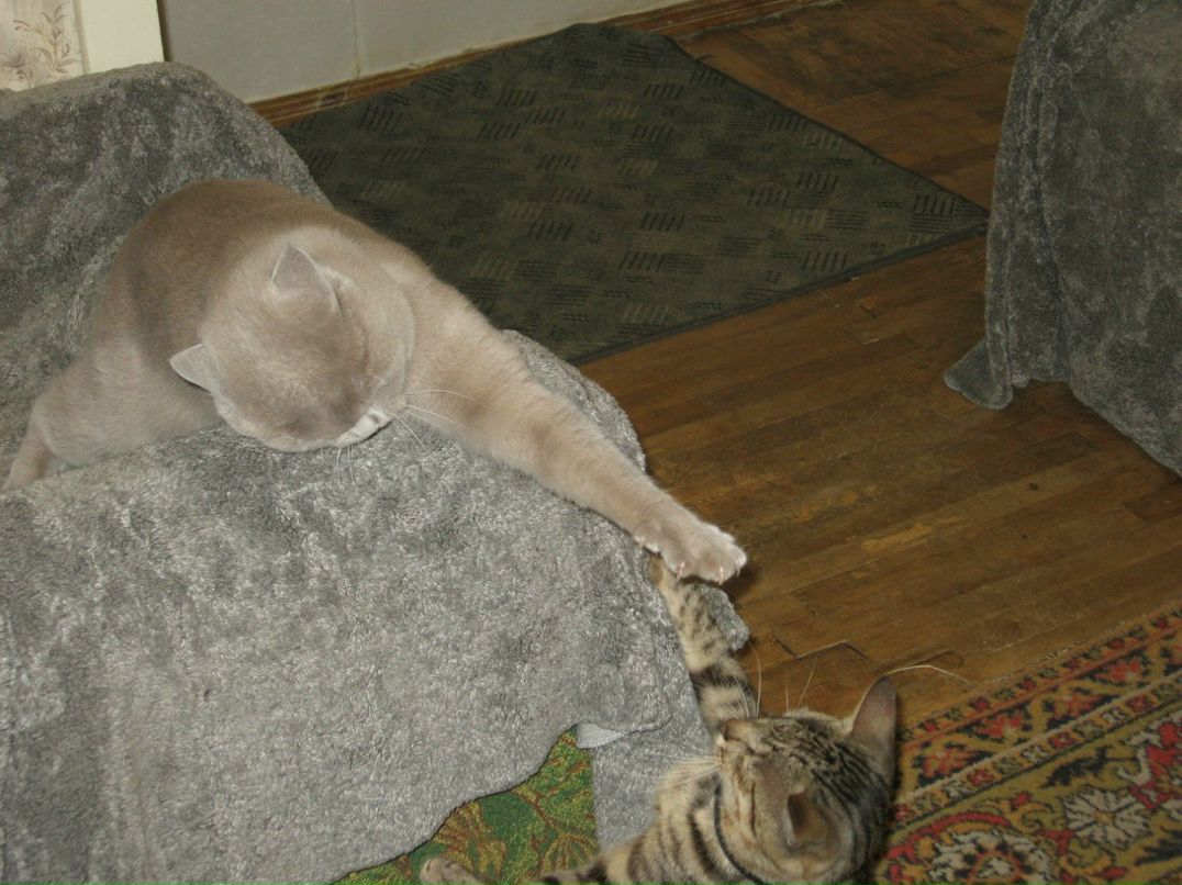 Ольга Карасюк Валериевна | Киев