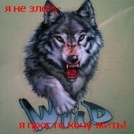 №25, Максим Максимов, Великие Луки №25, Максим Максимов, Великие Луки