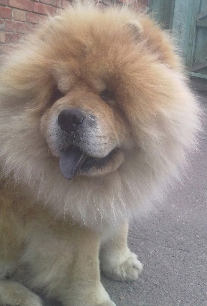 Жека Алексеев | Сумы