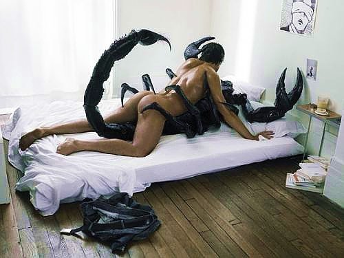 №88, Диана Дашниани №88, Диана Дашниани