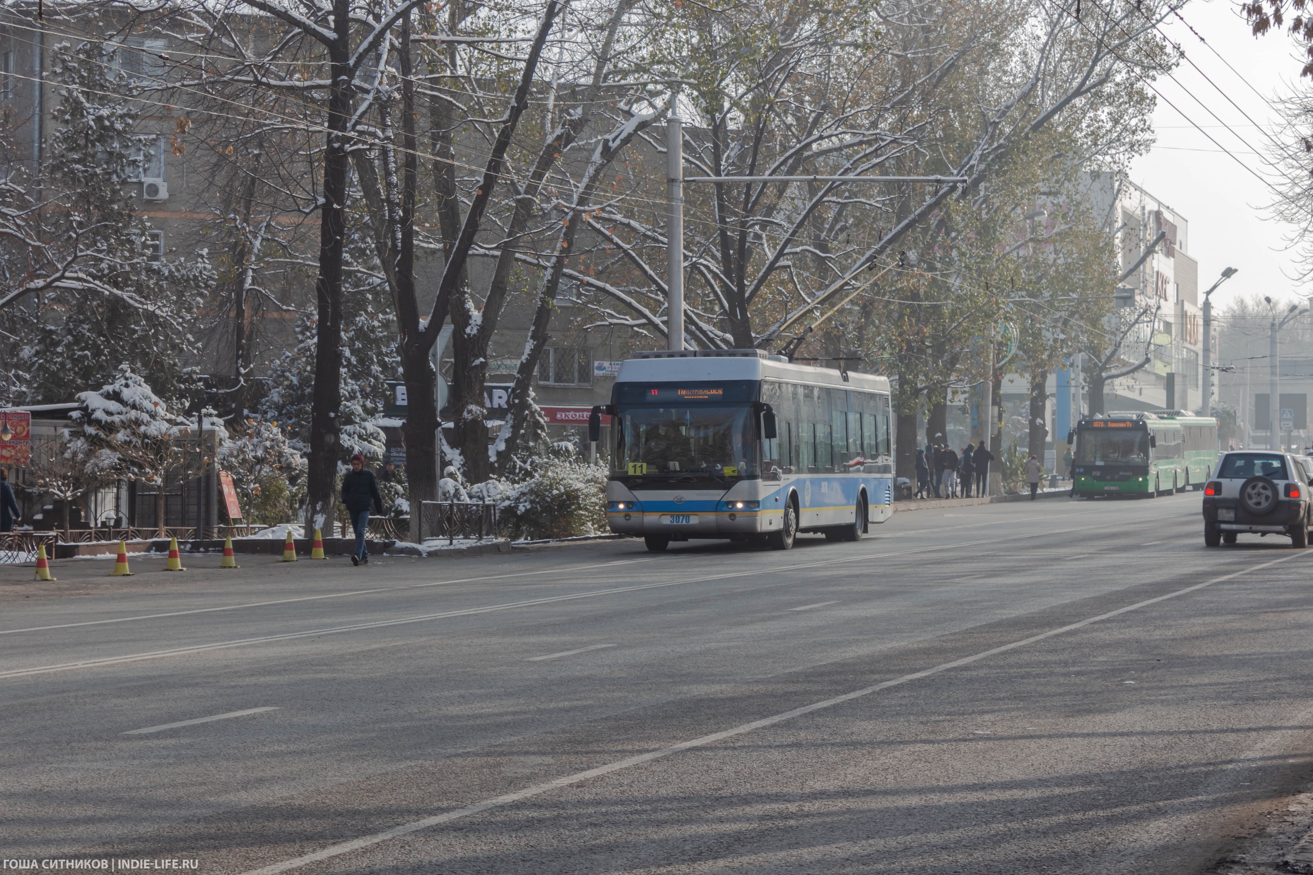 Троллейбус и автобусы