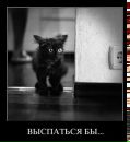 №8 Надежда Суворова : профиль, фото, статус - ВКонтакте