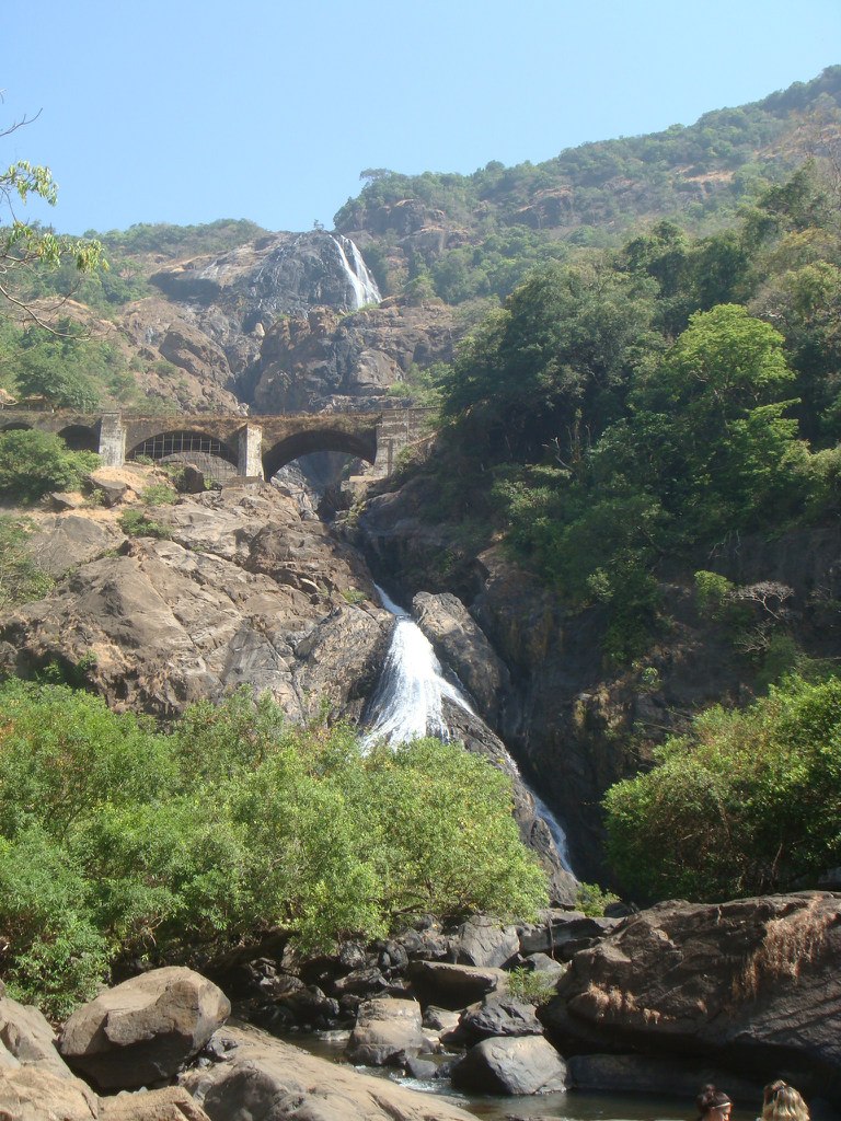 Анастасия Найер | Владимир