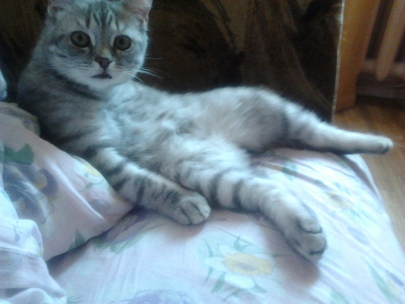 Любочка Кузнецова =(*.*)= | Москва