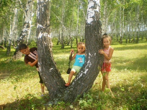 №3, Дина Хашерова №3, Дина Хашерова