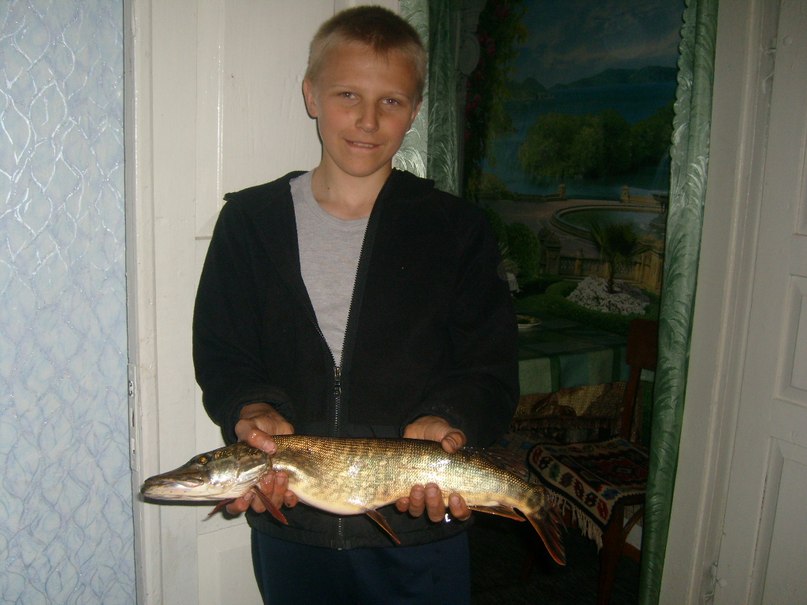 Рома Шлапак | 