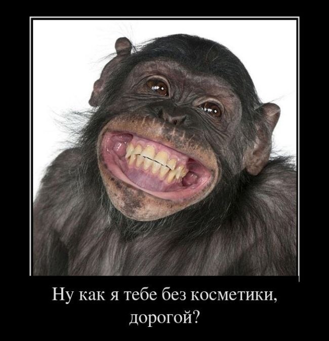 Юля Ячменькова | Краснодар