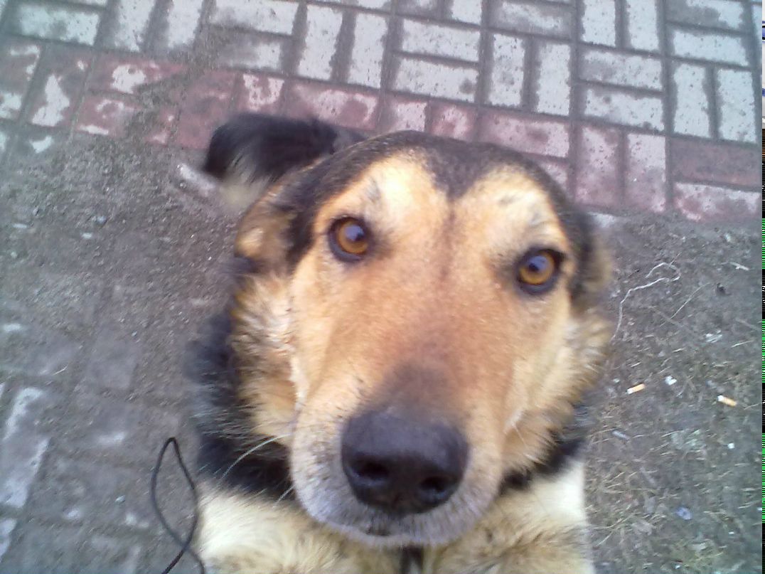 Ксюша Татаренко | Курск