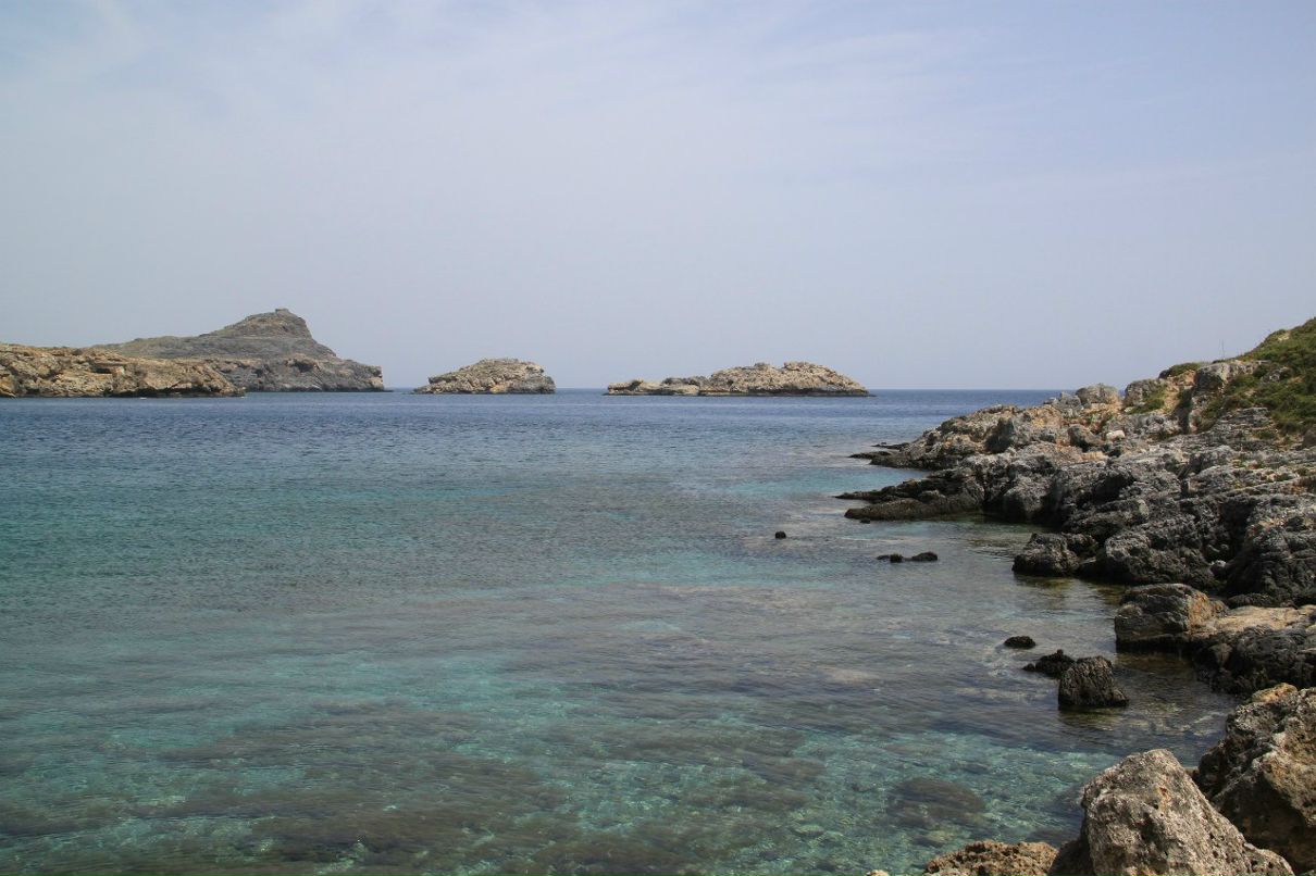 Ronald Shipitsyn | Беэр Шева