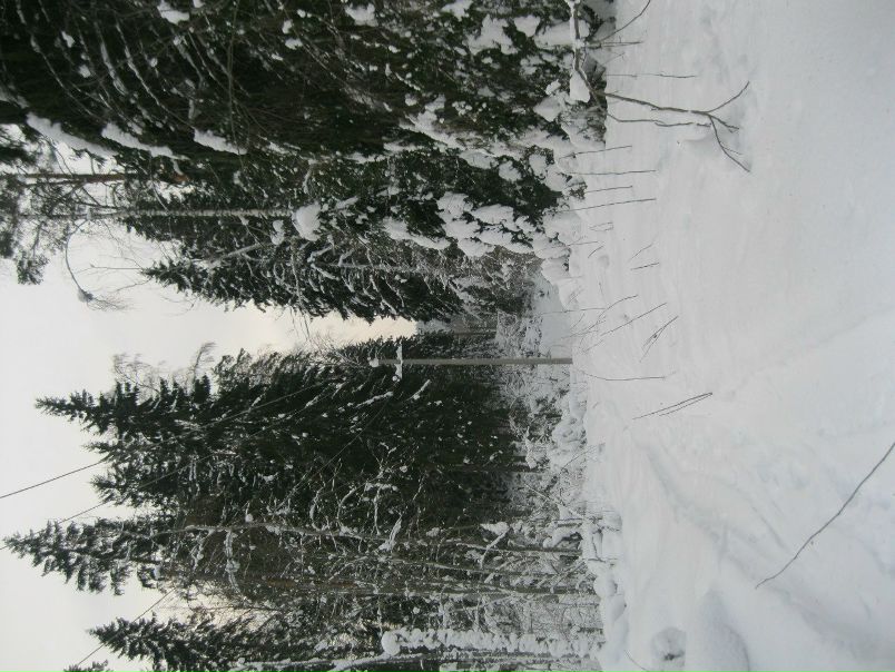 №54, Герман Завелев, 30 лет, Санкт-Петербург №54, Герман Завелев, 30 лет, Санкт-Петербург