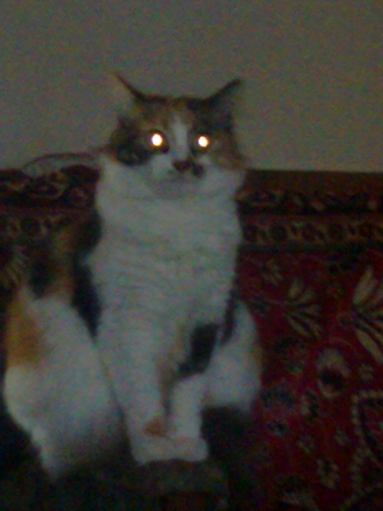 Лена Соколова | Херсон