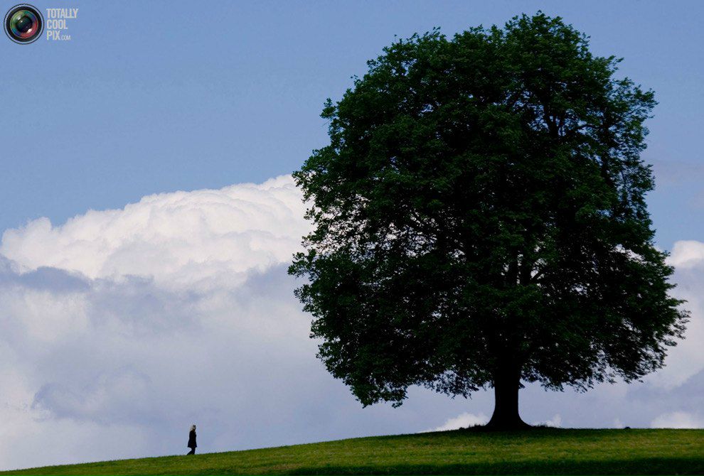 Ольга Разномасцева | Астана / Нур-Султан