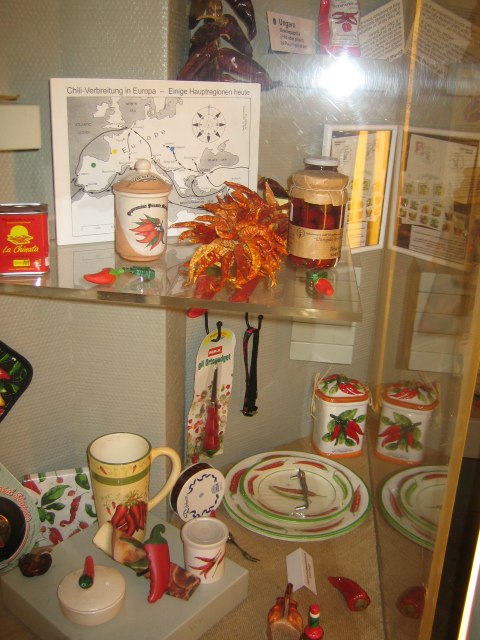 Елена Соломонова | Санкт-Петербург