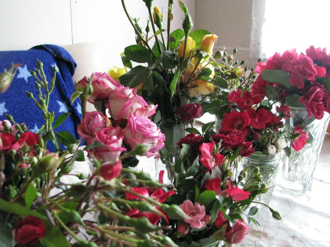 Татьяна Красавцева | Петрозаводск