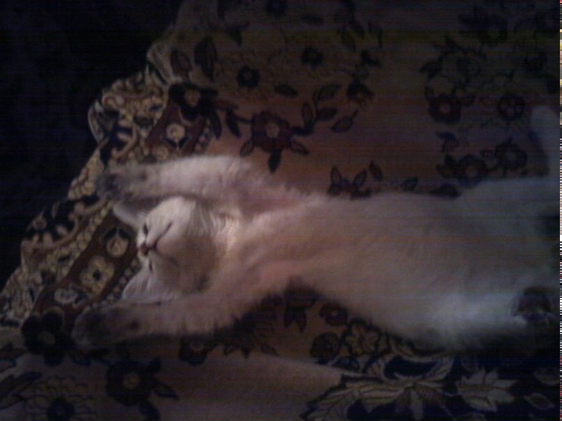 Маришка Смородинова | Краснодар