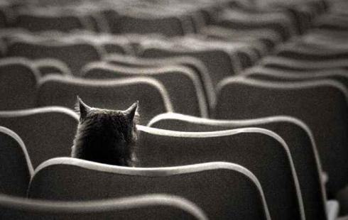 №20, Марія Мороз, Николаев №20, Марія Мороз, Николаев