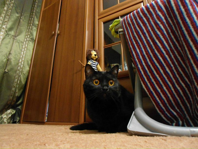 Евгений Куприец | Киев