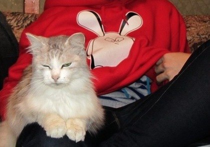 Инна Левченко | Киев