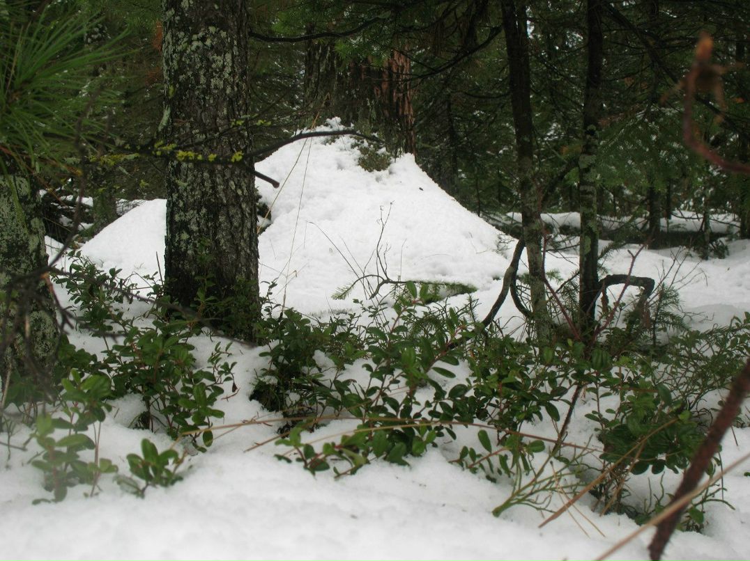 Юлия Колесник | Екатеринбург