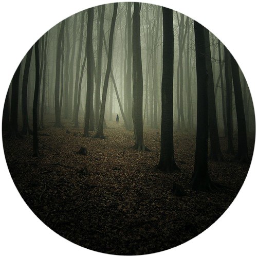 Владимир Хибея | Винница