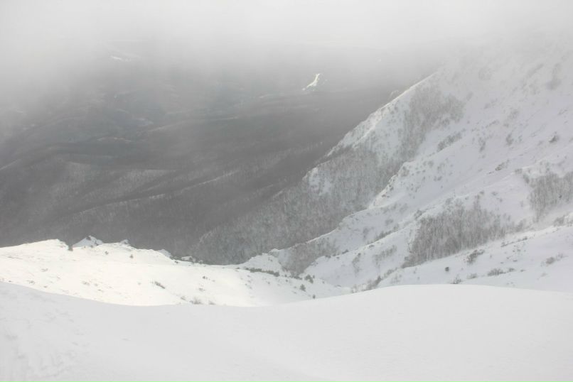 Алексей Пренко | Николаевка