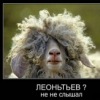 Аватар: Виталя Чайка