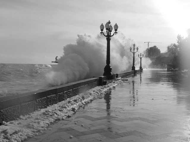 Елисей Бороздин | Ялта