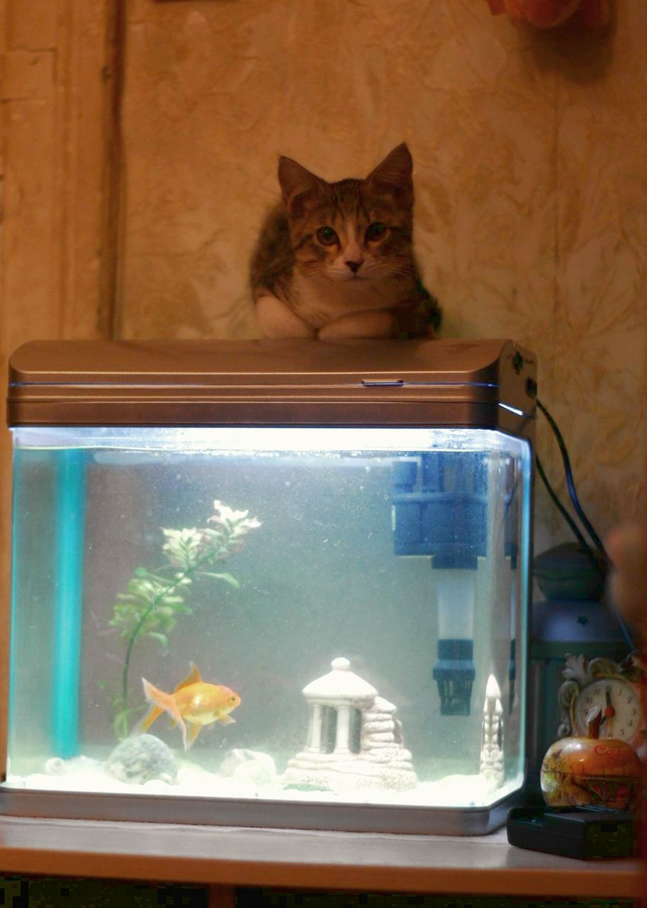 Рина-Рут Жаловская | Тель-Авив