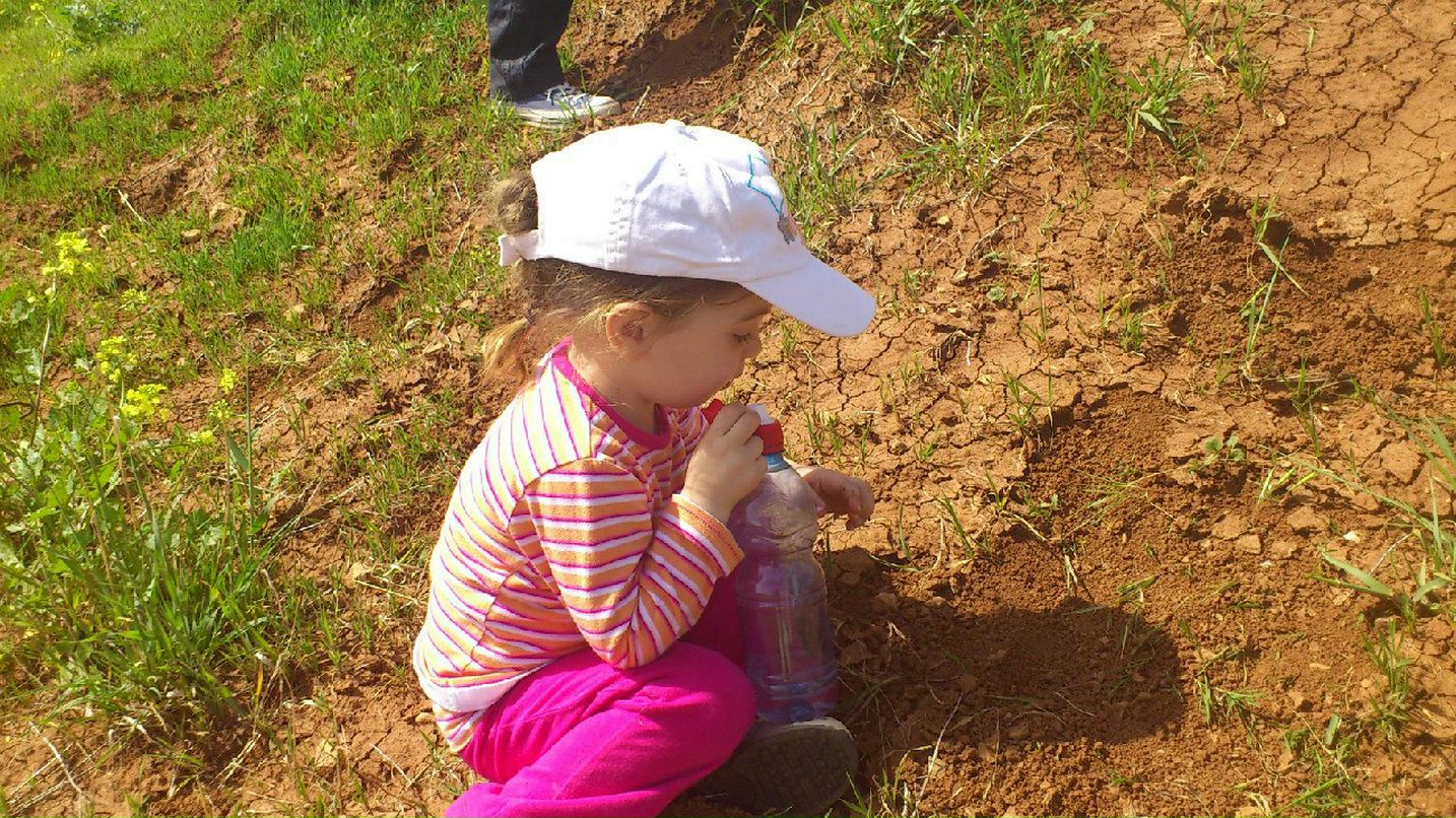 Надежда Цирлина | Иерусалим