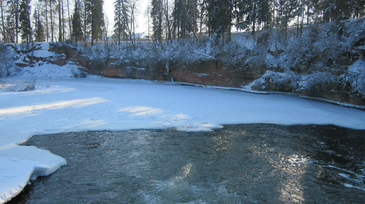 Инна Коломайнен | Санкт-Петербург