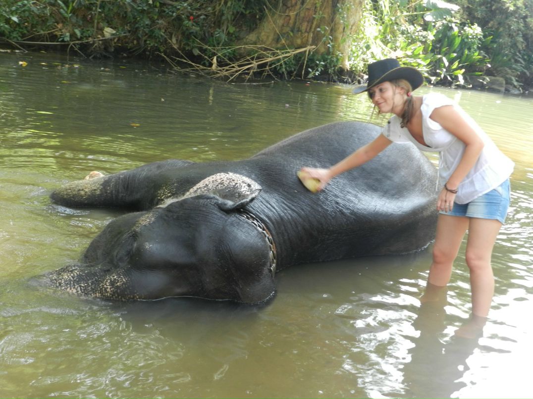 Юлия Башинская | Киев