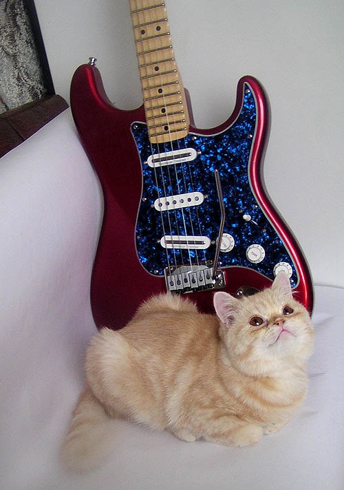 Олеся Захара | Львов