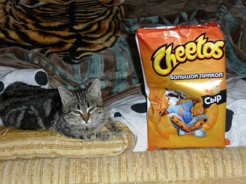 Руслана Богданова | Ростов-на-Дону